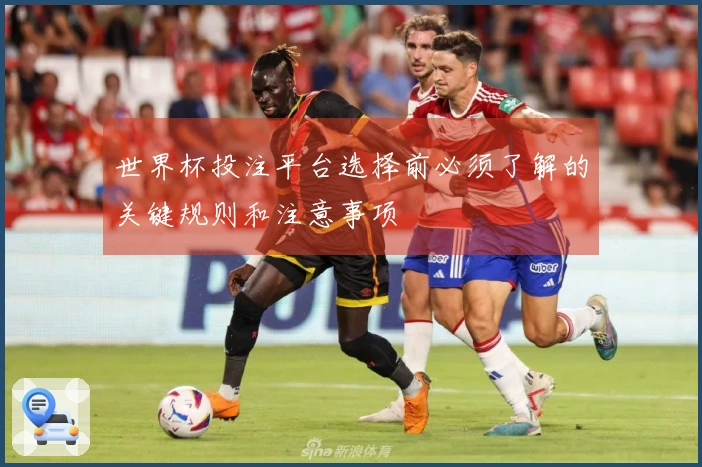 世界杯投注平台选择前必须了解的关键规则和注意事项
